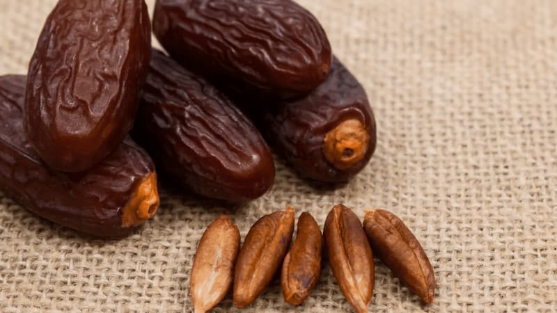 تصویر 1 از خرما پیارم ساغر شیرین و گوشتی ممتاز با طعم طبیعی کاراملی